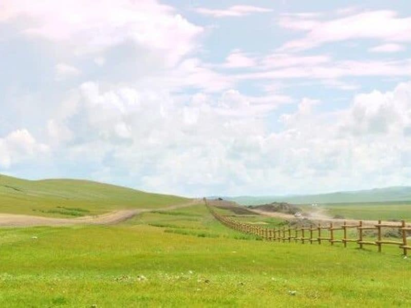 驴屋旅途故事 2021征文▪游记2｜ 呼伦贝尔大草原之夏