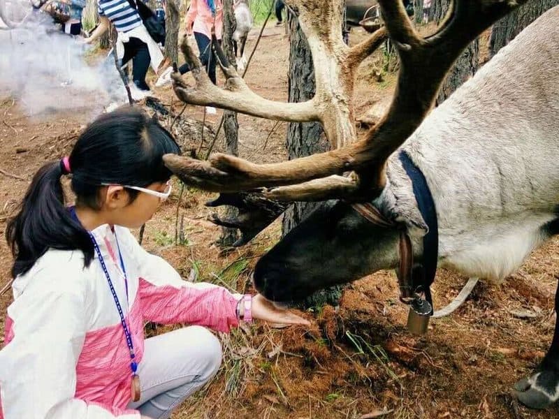 驴屋旅途故事 游记｜深秋，想念呼伦贝尔的辽阔