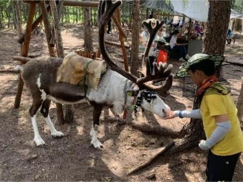 驴屋旅途故事 征文投稿第四篇——呼伦贝尔草原游记（侯宸熙）