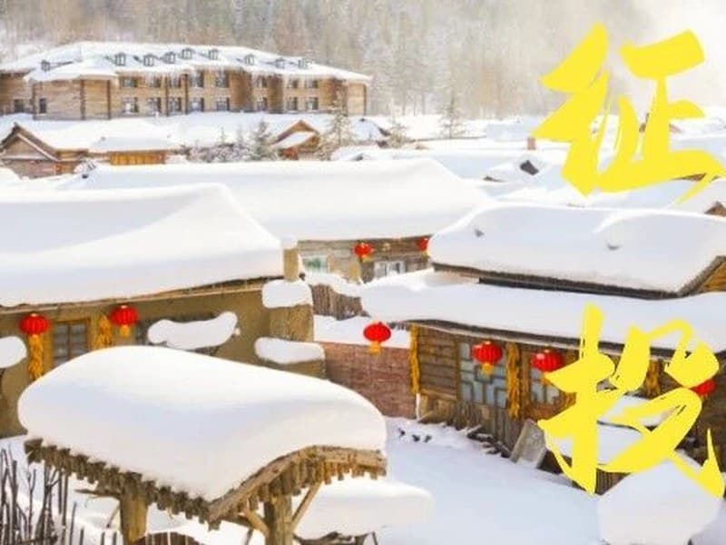驴屋旅途故事 征文投稿——2024寒假之哈尔滨雪乡游记（邱奕玮）
