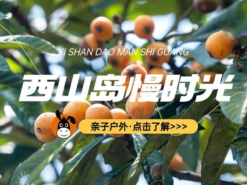 驴屋户外 西山岛枇杷采摘 环岛骑行 骑马射箭