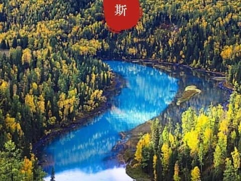 白哈巴