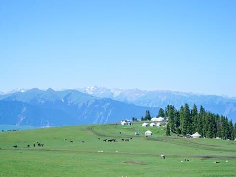 喀拉峻草原