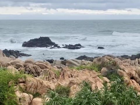 海花岛