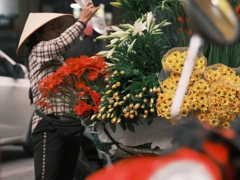 富国岛环岛