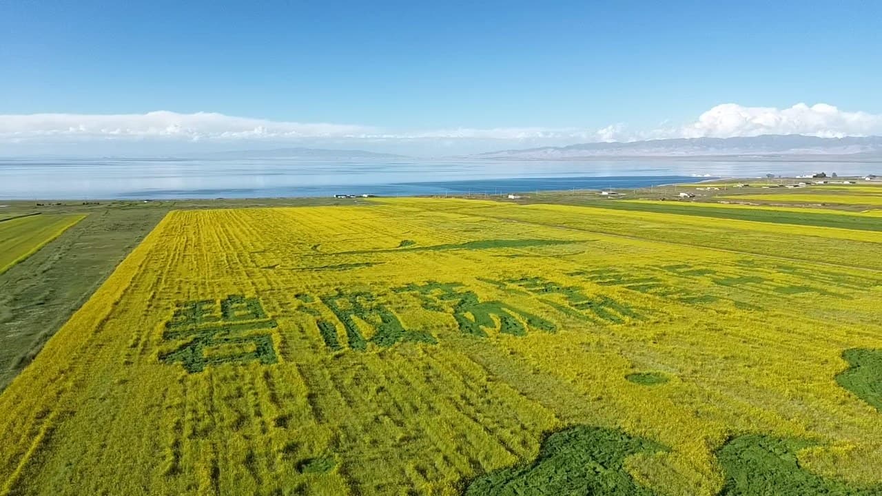 青甘大环线