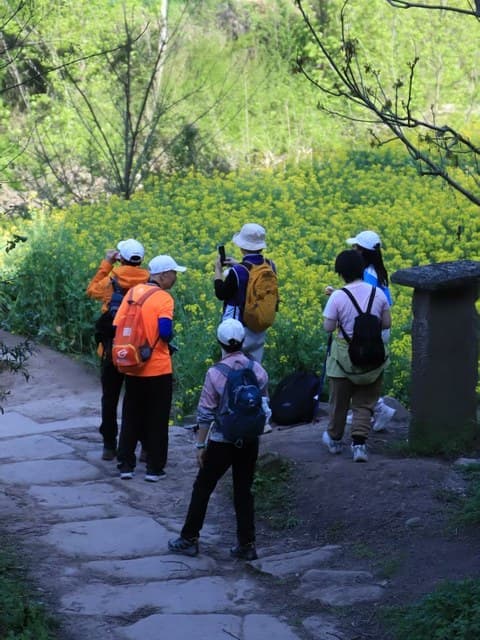 千年古蜀道徒步营 - 古道石板路