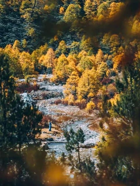 行走哈巴雪山 · 探秘虎跳峡 · 触摸云南的极致野性