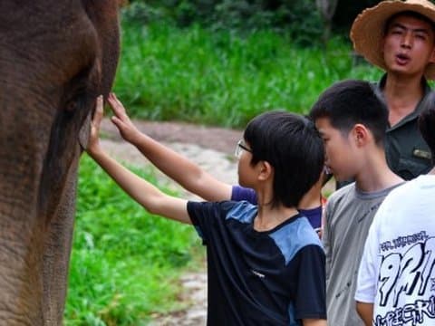 亚洲象博物馆