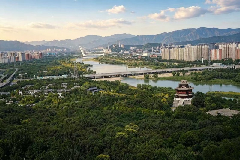 游园