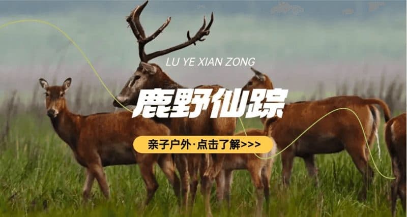 奇遇盐城亲子营