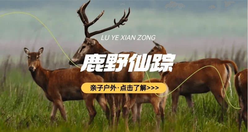 奇遇盐城亲子营
