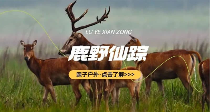 奇遇盐城亲子营