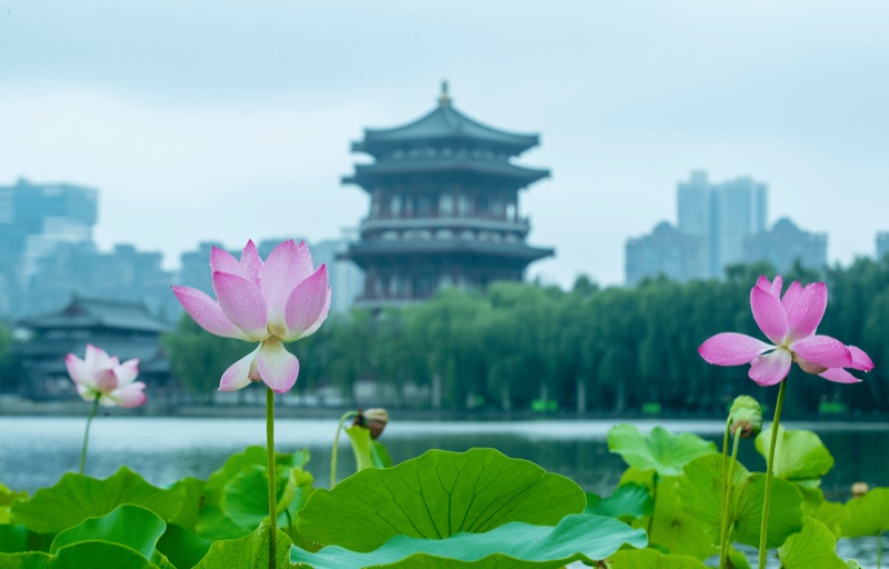 双节文旅（资料图）